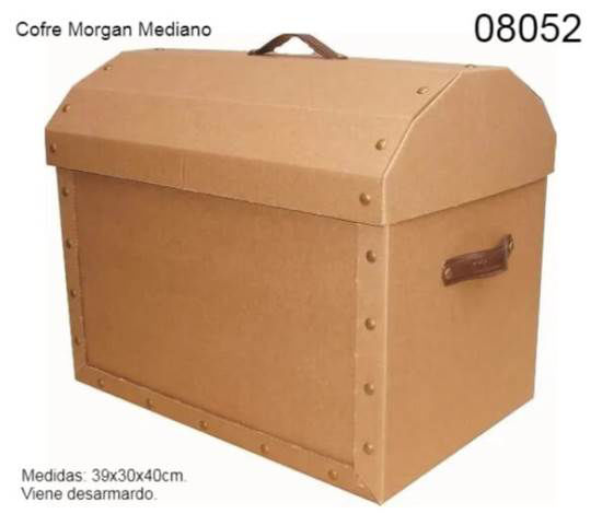 Imagen de COFRE MORGAN MEDIANO 2.26